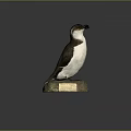 Realistic Seabird Animal Painting Taxidermy Display On Stone Base With Plaque