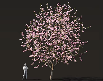 Peach Blossom Tree Cherry Blossom Tree Garden Sick Ancient Style National Style Landscape Street Tree 3d model