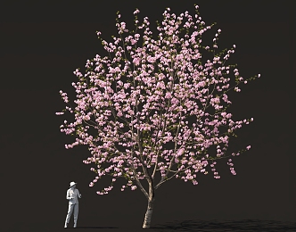 Peach Blossom Tree Cherry Blossom Tree Garden Sick Ancient Style National Style Landscape Street Tree 3d model