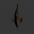 Unique Horned Fish Featuring Orange Eyes Spotted Body And Yellow Fins