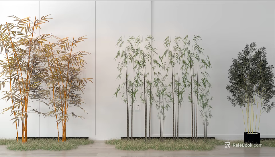 Different Colored Bamboo Plants Arranged Against White Wall With Green Grass Lawn 3d model 