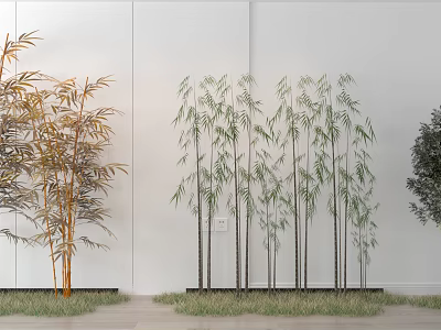 Different Colored Bamboo Plants Arranged Against White Wall With Green Grass Lawn 3d model