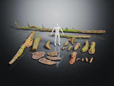Wood And Stone Natural Branches Moss Covered Logs Slabs Display With Human Figure For Scale 3d model