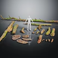 Wood And Stone Natural Branches Moss Covered Logs Slabs Display With Human Figure For Scale