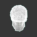 Skull Adorned With Green Leaves And Vines Natural Bio Art Design