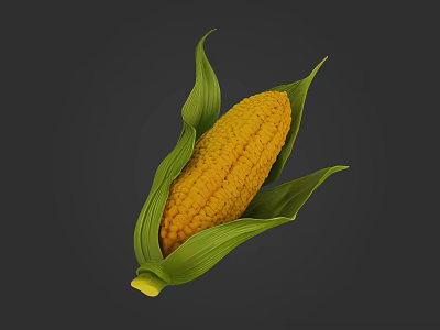 Fresh Corn with Green Leaves and Yellow Kernels on Gray Background 3d model