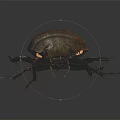 Close Up Detailed Dark Beetle With Shiny Exoskeleton Red Legs And Antennae