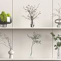 Various Vases With Green Plants And Branches On White Interior Shelves