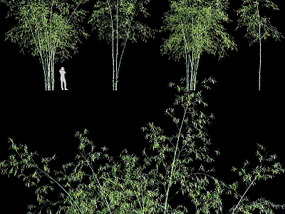Various Bamboo Plants As Garden Features With Leafy Foliage In Landscape Design 3d model