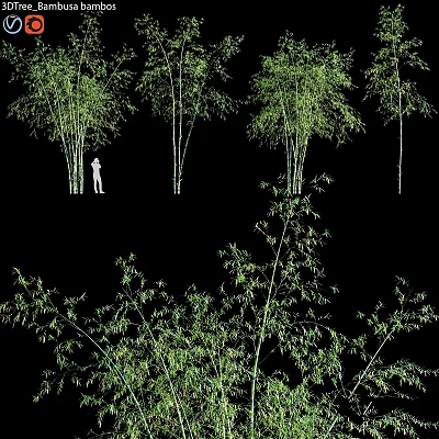 Various Bamboo Plants As Garden Features With Leafy Foliage In Landscape Design 3d model