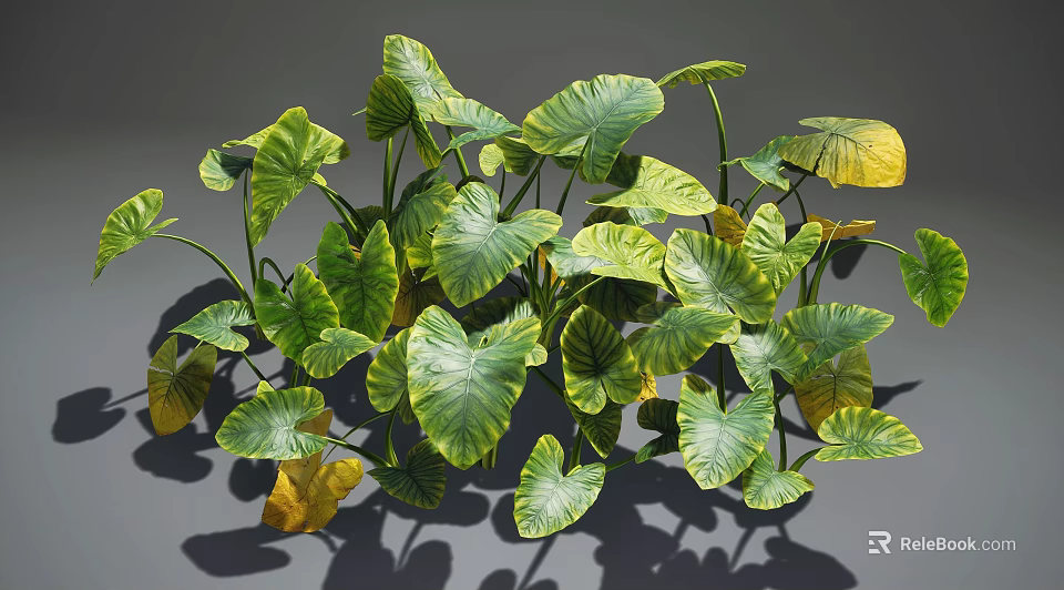 Lush Tropical Plants With Large Green And Yellow Leaves Casting Shadows 3d model 