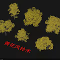Vibrant Multiple Golden Trumpet Trees Showcasing Yellow Blossoms And Distinct Tree Structures