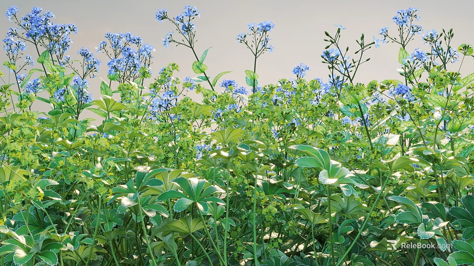 Vibrant Blue Flowers And Lush Green Leaves In Natural Garden Setting 3d model 