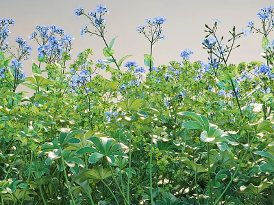 Vibrant Blue Flowers And Lush Green Leaves In Natural Garden Setting 3d model