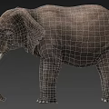 Realistic Grey Elephant With Ivory Tusks Standing In Studio Setting 3d model