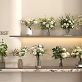 X DDRSF Display Various Vases with White and Green Flowers on Wall Shelves Light Wall