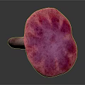 Vibrant Pinkish Purple Mushroom with Rounded Cap and Sturdy Stem on White Background