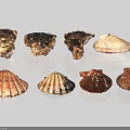 Handcrafted Seashell Sculpture Carving With Natural Texture And Artistic