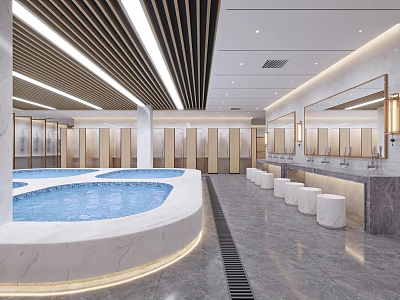 Modern SPA Sauna Interior With Pool Locker Rooms And Vanities 3d model