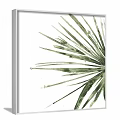 Two Green Leaf Plant Paintings in White Frames on Dark Green Wall