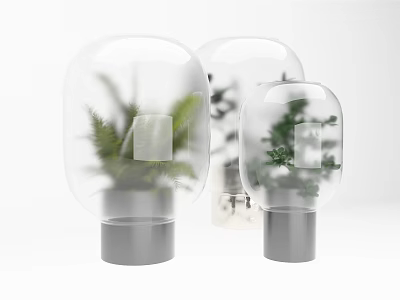 Stylish Bonsai Potted Plants with Transparent Glass Domes and Gray Bases 3d model