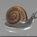 Snail With Spiral Brownish Yellow Shell Gray Body On Hexagonal Patterned Base Dark Reflective Background 3d model