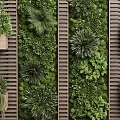 Vertical Green Wall With Various Plants On Slatted Wooden Structure 3d model