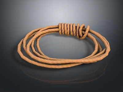 Coiled Brown Durable Rope Ideal for Home Use and Multipurpose Daily Household Tasks 3d model