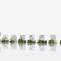 3D Text Design With Green Plants Decoration And Reflection On Clean Background