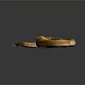 Brown Coiled Reptile Snake With Scaled Skin On Dark Background
