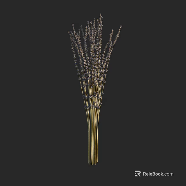 Elegant Lavender Flowers Bouquet With Golden Stems On Dark Background 3d model 