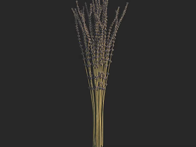 Elegant Lavender Flowers Bouquet With Golden Stems On Dark Background 3d model