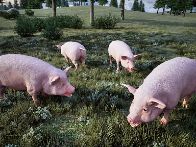 Four Pink Reptiles Foraging On Sunlit Green Grassland Habitat 3d model