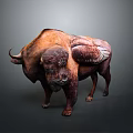 Brown Wild Bison With Large Curved Horns And Muscular Build Standing On Dark Ground