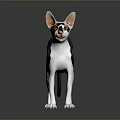 Sphynx Cat With Black White Purple Coat Standing On Dark Reflective Surface
