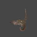 Animal Skull With Large Curved Horns Natural Brown Decorative
