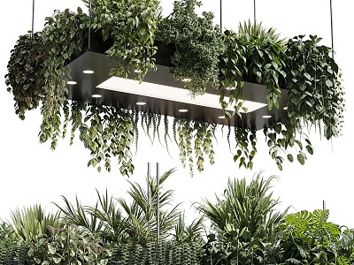 Modern chandelier green plant hanging basket 3d model