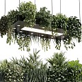 Modern chandelier green plant hanging basket 3d model