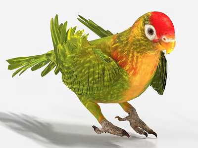 Vibrant Red Headed Green Parrot With Yellow Feathers And Colorful Plumage Standing On Claws 3d model