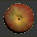 Fresh Ripe Red and Yellow Apple with Shiny Surface on Gray Background