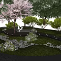Scenic Park Landscape Featuring Cherry Blossom Tree People Sitting on Bench Green Grass Rock Pathway