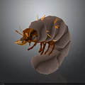 3D Cartoon Bug Character With Pink Body Orange Head Yellow Antennae And Legs