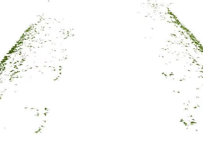 Modern deciduous ground deciduous leaves 3d model Modern deciduous ground deciduous leaves 3d model