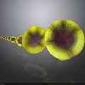 Vibrant Yellow And Purple Spotted Mushroom Like Creatures Arranged In A Line