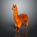 Orange Llama Standing On Gray Background With Realistic Fur And Reflection 3d model