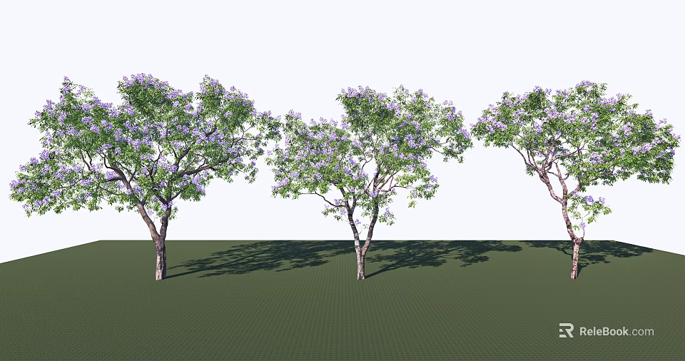 Lush Trees With Purple Flowers Green Leaves On Grass And Long Shadows 3d model 