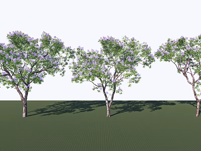 Lush Trees With Purple Flowers Green Leaves On Grass And Long Shadows 3d model