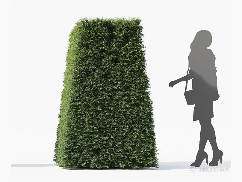 Tall Well Trimmed Conical Shrub with Female Silhouette in High Heels Standing Outdoors 3d model 
