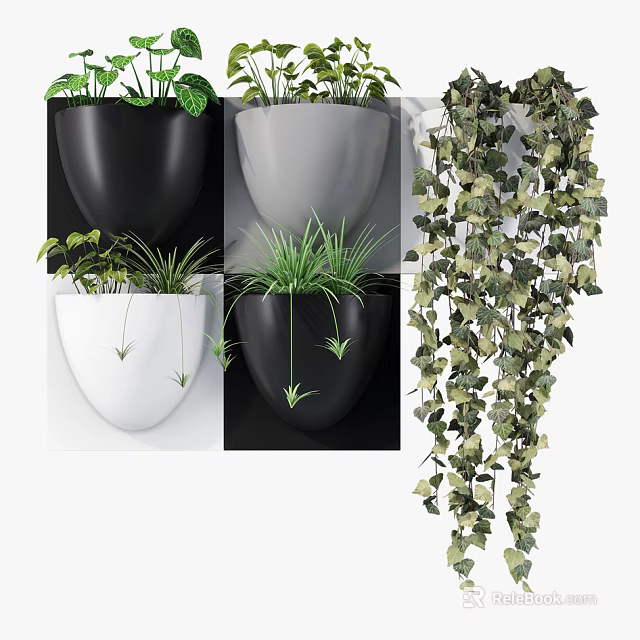 Hanging Potted Plants With Black White Pots And Green Vines For Indoor Decoration 3d model 