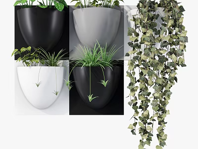 Hanging Potted Plants With Black White Pots And Green Vines For Indoor Decoration 3d model